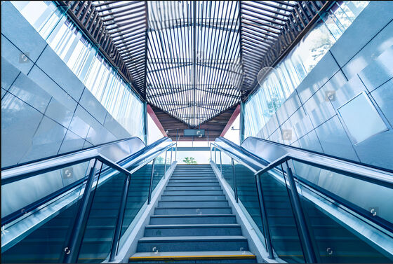 Customizable Modern Stair Railing Systems for Residential Commercial Use