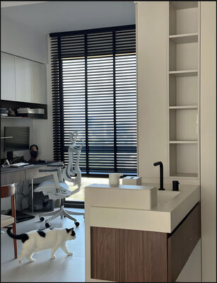 Cordless Thermal Insulated Window Blinds for Privacy and Style